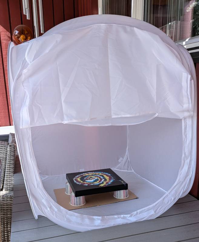 Bugs, Hair, Dust and All