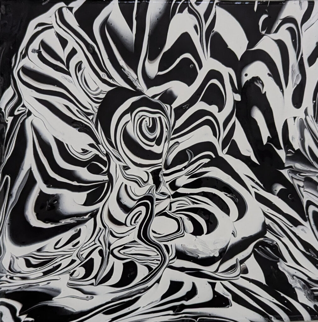 2025-08-25 - Zebras Favorite Color