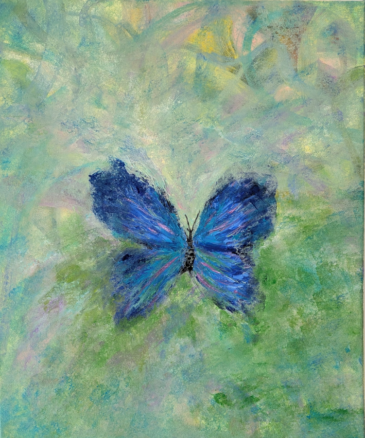 2025-06-04 - butterfly